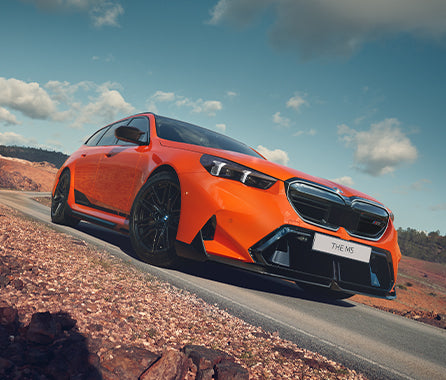 Signature Grooming Service